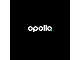 opollo-it-services-small-0