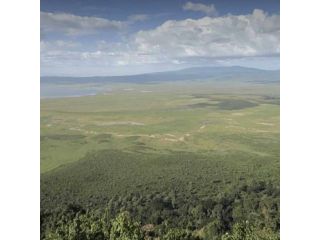 ngorongoro-crater-walking-safari-small-0