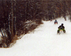 your-ultimate-michigan-snowmobile-escape