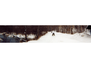 your-ultimate-michigan-snowmobile-escape-small-0