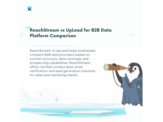 reachstream-vs-uplead-for-b2b-data-platform-comparison-small-0
