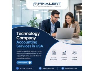 technology-company-accounting-services-in-usa-tax-small-0