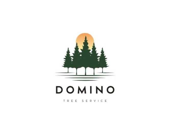 emergency-cleanup-near-me-domino-tree-service