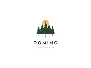 emergency-cleanup-near-me-domino-tree-service-small-0