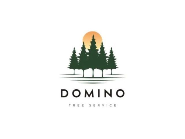 emergency-cleanup-near-me-domino-tree-service