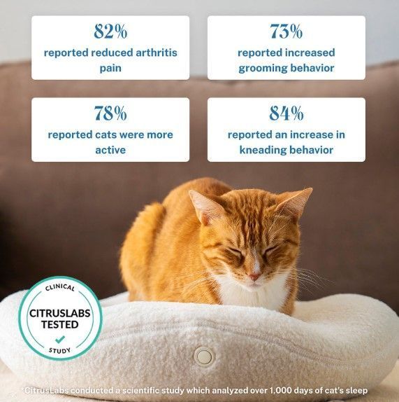 kneadcats-com-10-off-on-all-heated-cat-beds-big-0