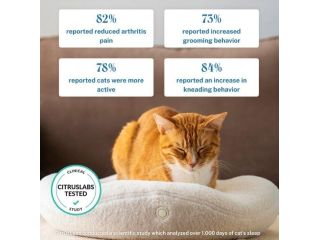 kneadcats-com-10-off-on-all-heated-cat-beds-small-0