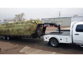 trusted-safety-in-towing-systems-safe-gooseneck-coupler-small-0