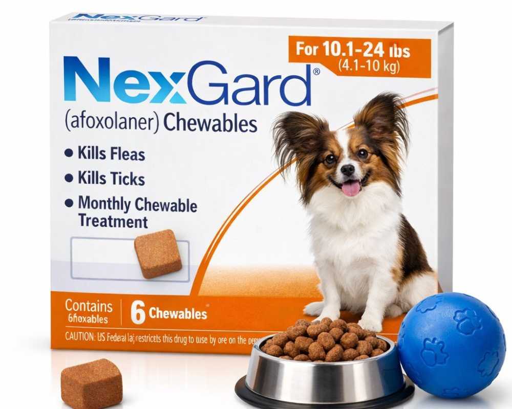 summer-sale-20-off-nexgard-for-dogs
