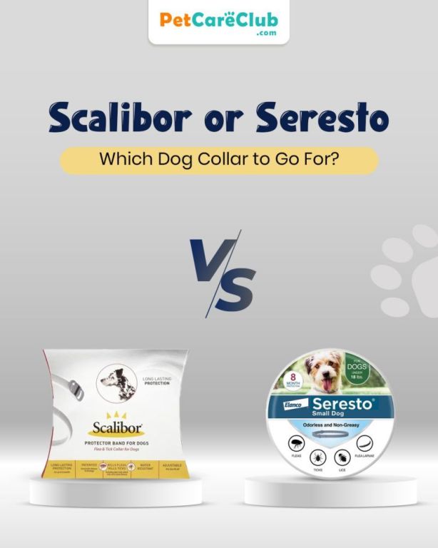 scalibor-or-seresto-which-dog-collar-to-go-for-petcareclub-big-0