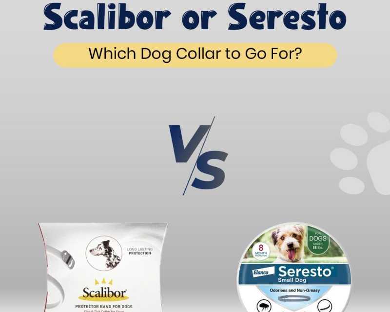 scalibor-or-seresto-which-dog-collar-to-go-for-petcareclub