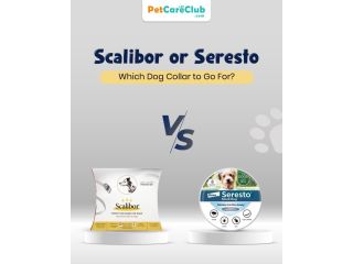 scalibor-or-seresto-which-dog-collar-to-go-for-petcareclub-small-0