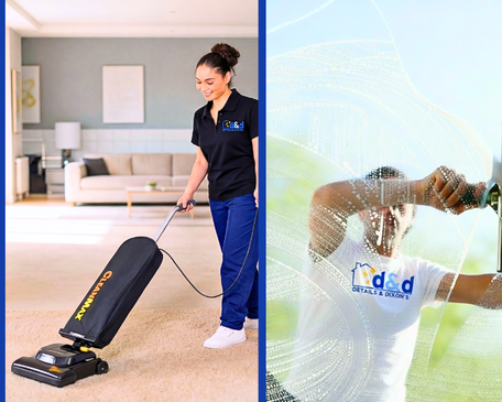 expert-home-cleaning-in-minneapolis-details-dixons