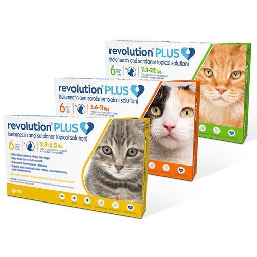 summer-sale-20-off-revolution-plus-for-cats-big-0