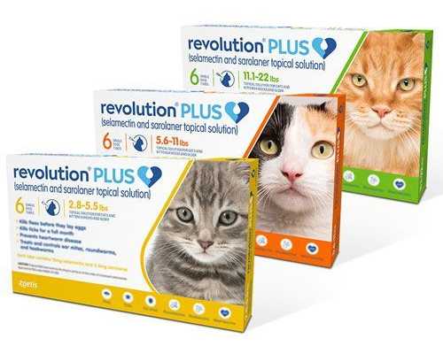 summer-sale-20-off-revolution-plus-for-cats