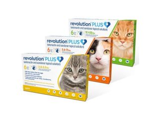 summer-sale-20-off-revolution-plus-for-cats-small-0