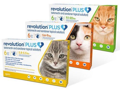 summer-sale-20-off-revolution-plus-for-cats