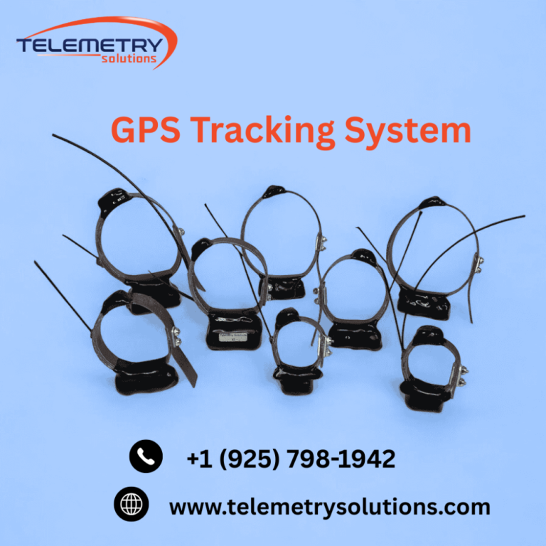 advanced-wildlife-tracking-gps-solutions-for-accurate-monitoring-big-0