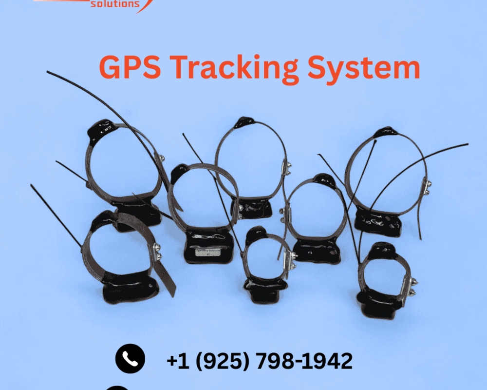advanced-wildlife-tracking-gps-solutions-for-accurate-monitoring
