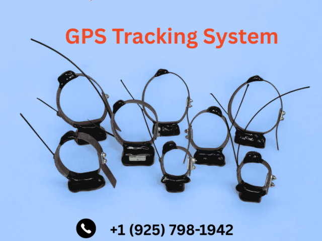 advanced-wildlife-tracking-gps-solutions-for-accurate-monitoring