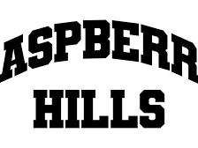raspberry-hills-raspberry-hills-gv-gallery-clothing