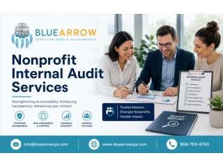 reliable-nonprofit-internal-audit-services-for-growth-small-0