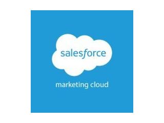 maximize-marketing-roi-with-salesforce-marketing-cloud-consulting-small-0