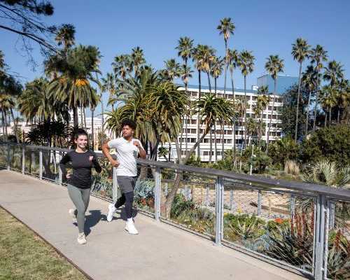planning-a-day-out-in-los-angeles-start-here