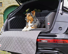 hundebetten-furs-auto-komfort-fur-sichere-autofahrten