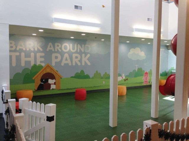 custom-wall-murals-in-fort-worth