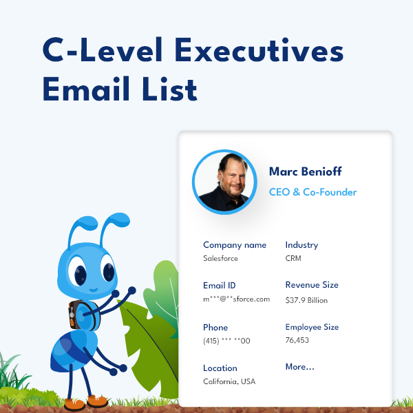 reach-c-level-executives-across-usa-with-verified-data-big-0
