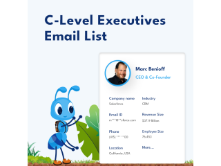 reach-c-level-executives-across-usa-with-verified-data-small-0