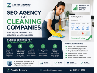 cleaning-company-seo-agency-zealite-agency-solutions-small-0