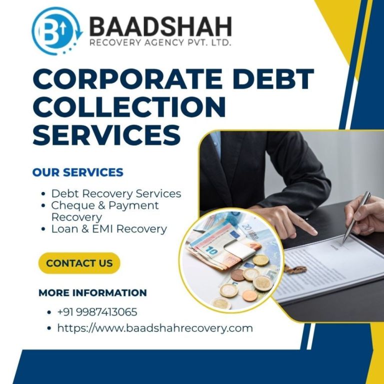 baadshah-recovery-agency-professional-debt-recovery-solutions-big-1