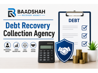 baadshah-recovery-agency-professional-debt-recovery-solutions-small-2