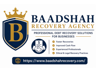baadshah-recovery-agency-professional-debt-recovery-solutions-small-0