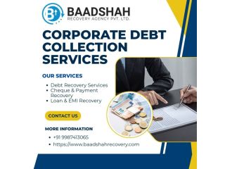 baadshah-recovery-agency-professional-debt-recovery-solutions-small-1