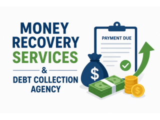 baadshah-recovery-agency-professional-debt-recovery-solutions-small-3