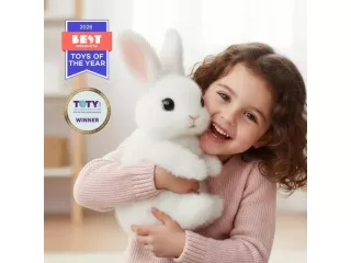 hoppsy-robot-bunny-group-play-activities-small-0