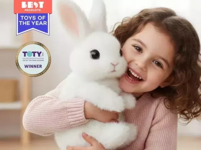 hoppsy-robot-bunny-group-play-activities