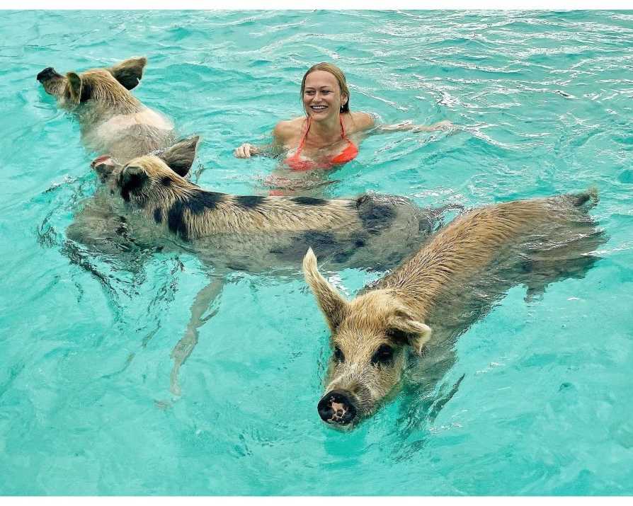create-lasting-memories-swimming-with-pigs-in-the-bahamas