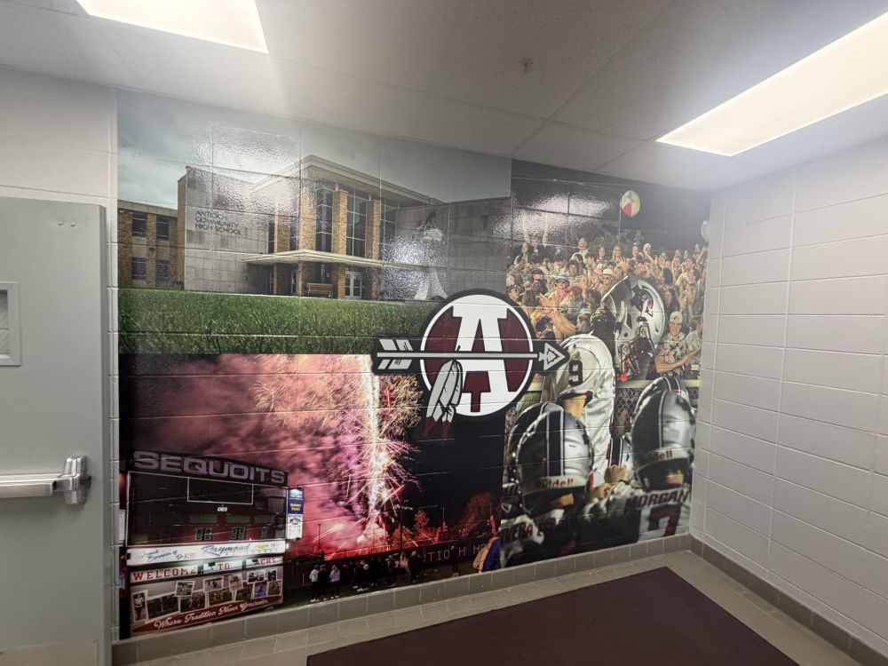 premium-custom-wall-murals-in-chicago-big-0