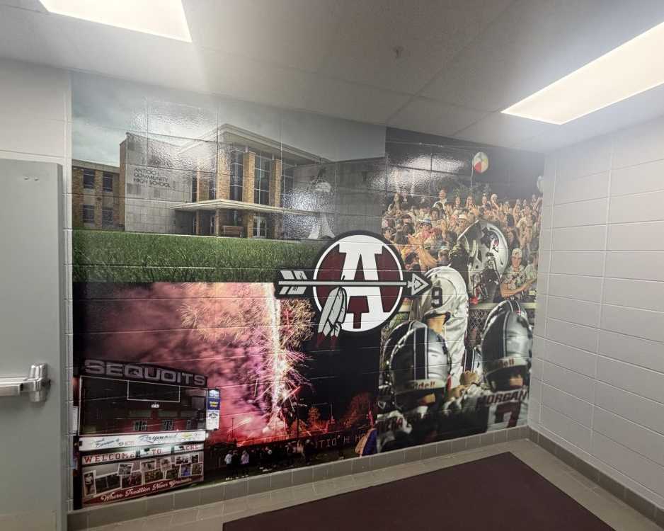 premium-custom-wall-murals-in-chicago