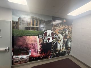 premium-custom-wall-murals-in-chicago-small-0