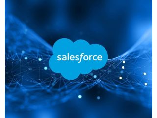 salesforce-admin-services-expert-crm-management-small-0