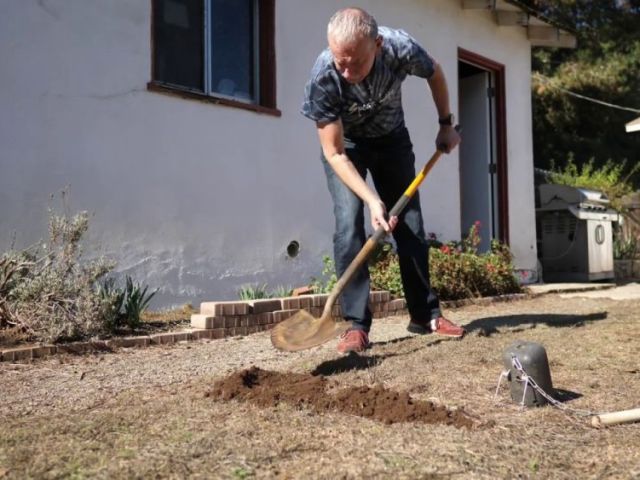 reliable-lawn-protection-services-best-gopher-control-near-me