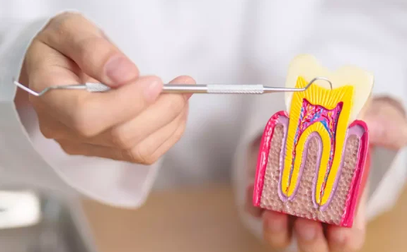 family-and-cosmetic-dentist-in-rosedale-call-410-866-5550-big-0