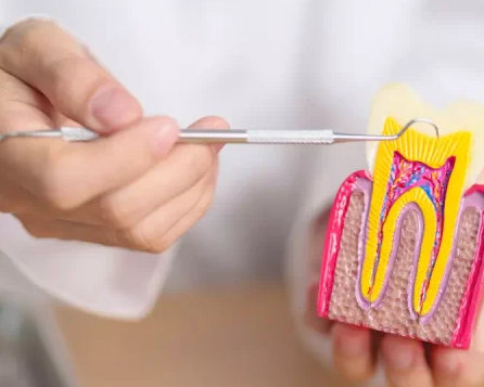 family-and-cosmetic-dentist-in-rosedale-call-410-866-5550