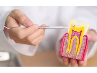 family-and-cosmetic-dentist-in-rosedale-call-410-866-5550-small-0