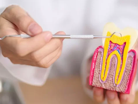 family-and-cosmetic-dentist-in-rosedale-call-410-866-5550